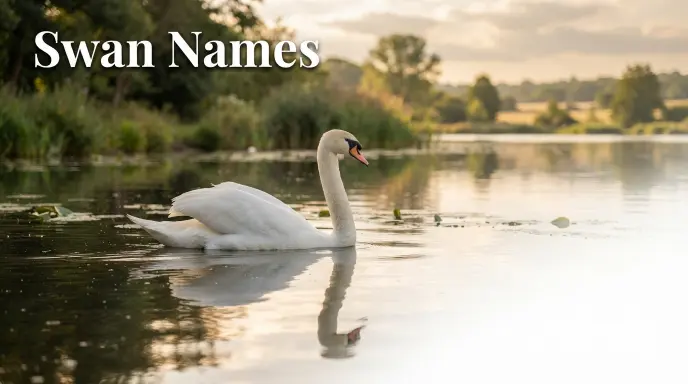 Swan Names With Name Generator